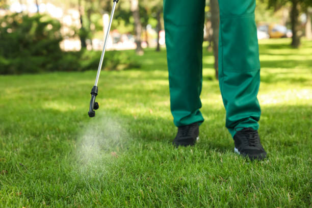 Best Commercial Pest Control Services  in Republic, MO