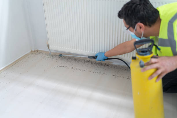 Best Affordable Pest Control Services  in Republic, MO